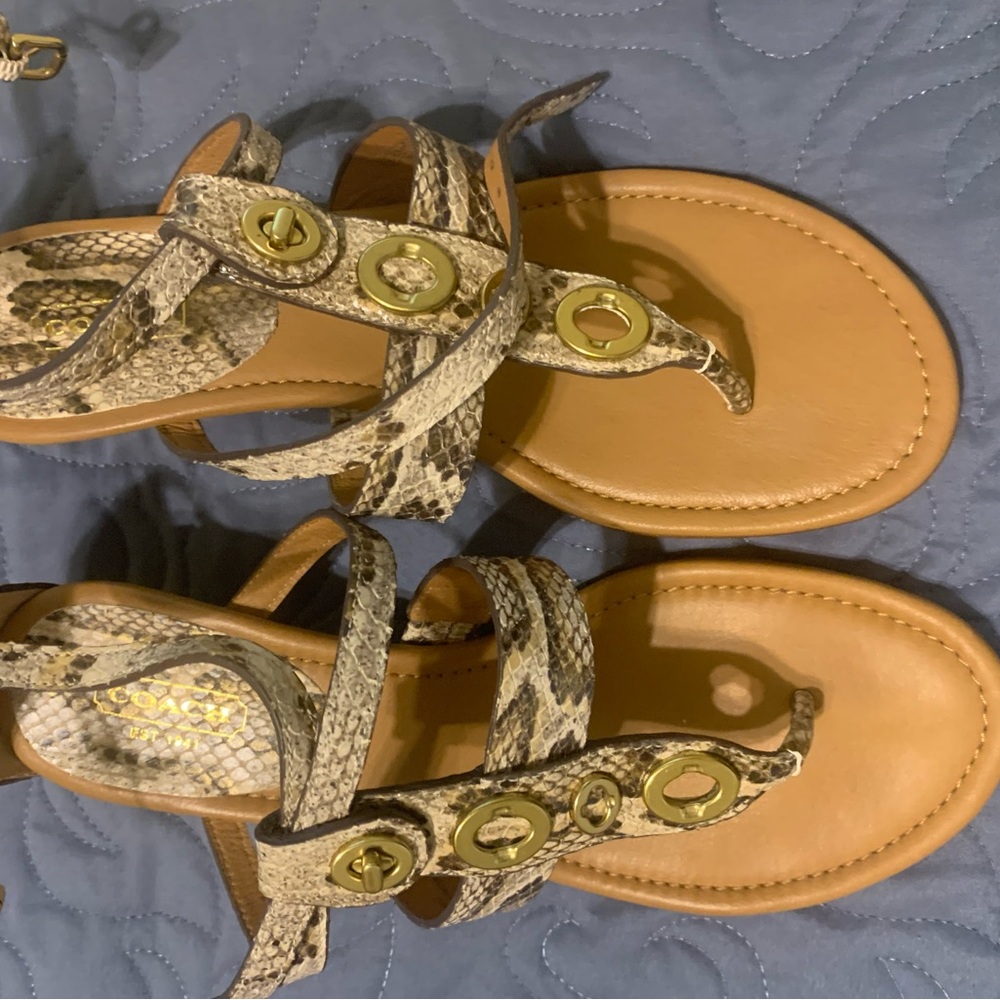 Coach Snakeskin and Tan Sandals with Gold Details